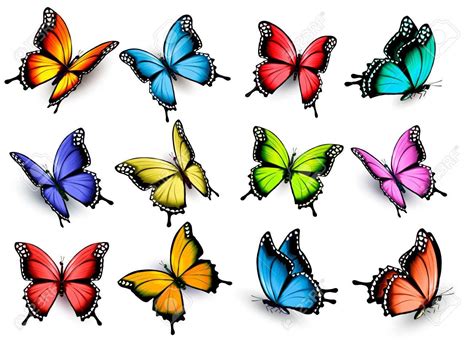 dibujos de mariposa-4